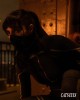 Cat's Eyes Tamara Chamade : Personnage de la s�rie 