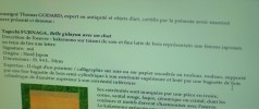 Cat's Eyes Thomas Godard : Personnage de la s�rie 